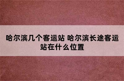 哈尔滨几个客运站 哈尔滨长途客运站在什么位置